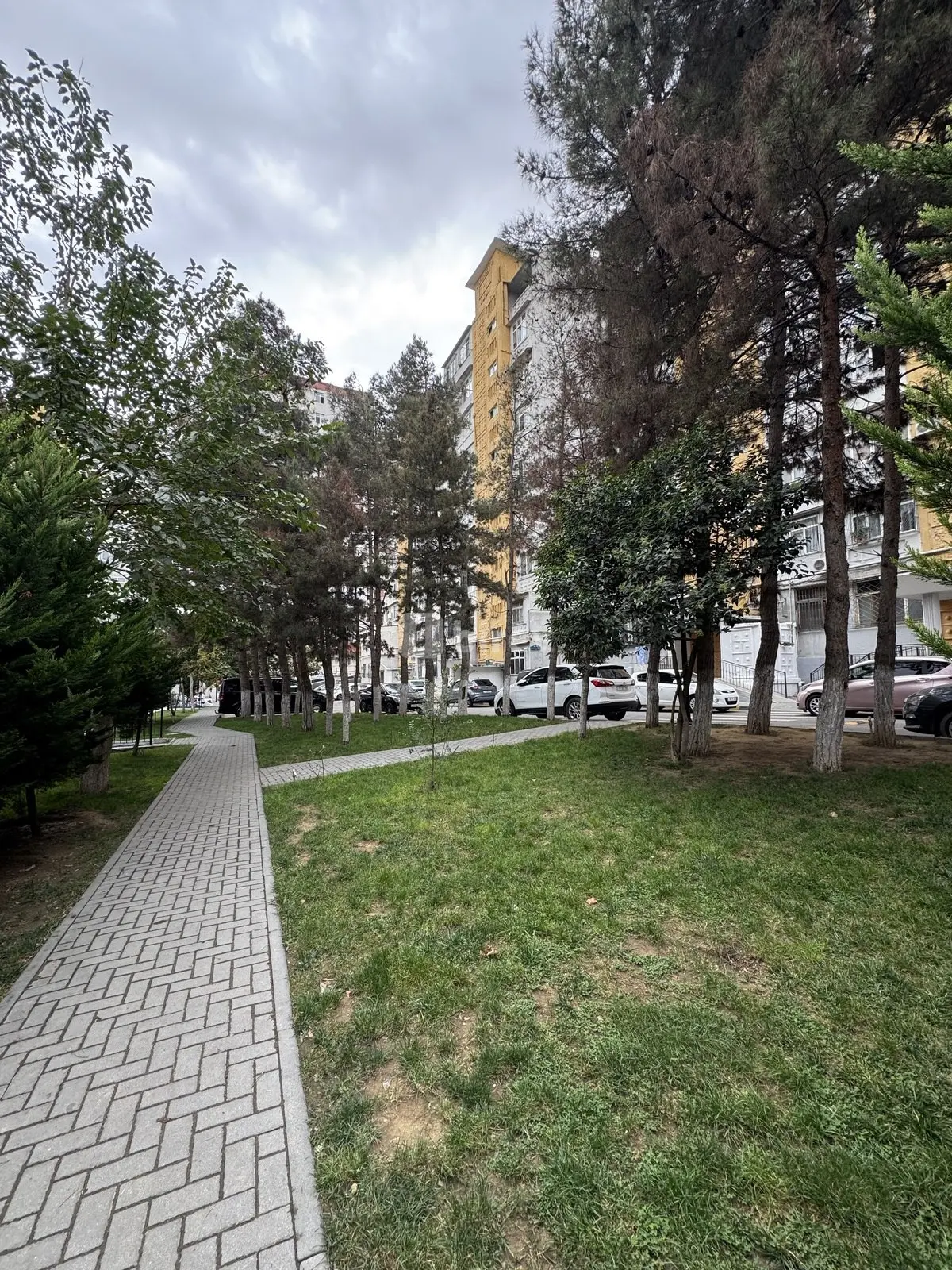 2-комнатная квартира, пос. Ени Ясамал, Əsəd Əhmədov küçəsi., Ясамальский район — фото 7