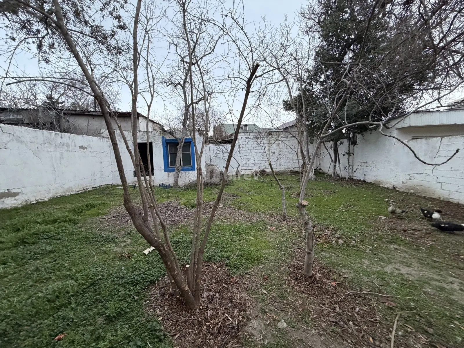 Участок 6 соток, пос. Бакиханов, Akim Abbasov küçəsi, Сабунчинский район — фото 3