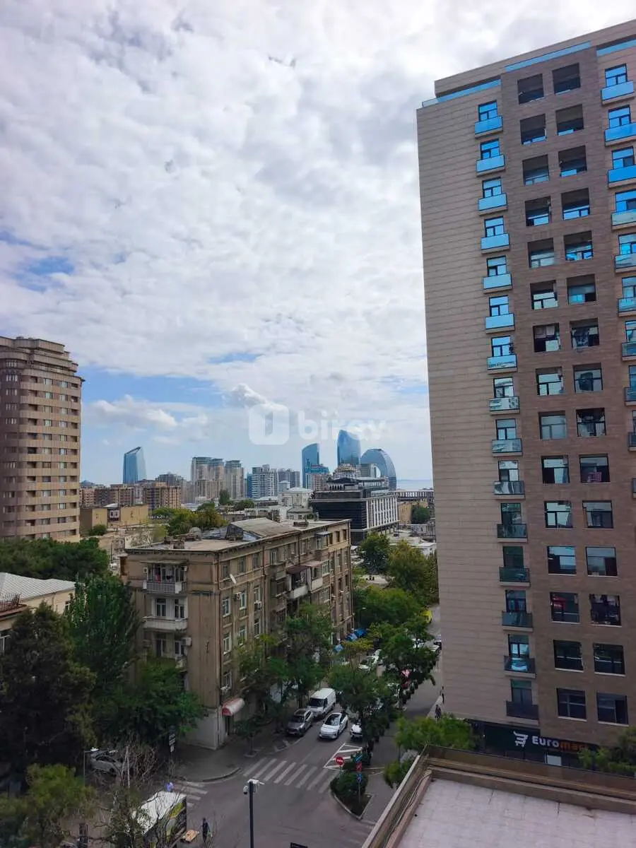 4-комнатная квартира, Насиминский район, Azadlıq prospekti, Баку — фото 5