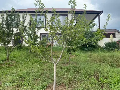 4 otaqlı həyət evi, Çuxuryurd