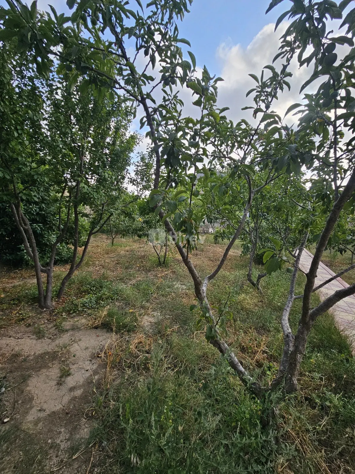 4-комнатный дом, пос. Мардакан, Mərdəkan qəs., Хазарский район — фото 6