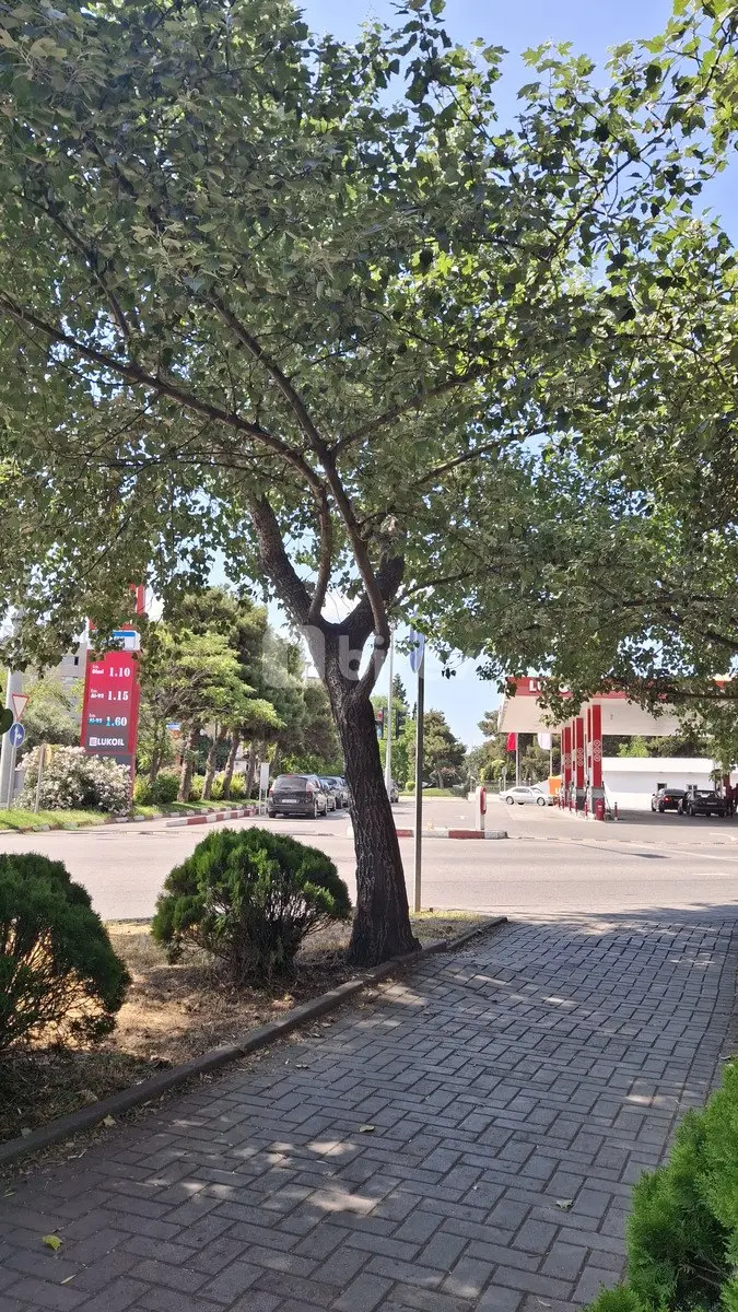 2-комнатная квартира, 8-й микрорайон, Cəfər Xəndan küçəsi, Бинагадинский район — фото 7