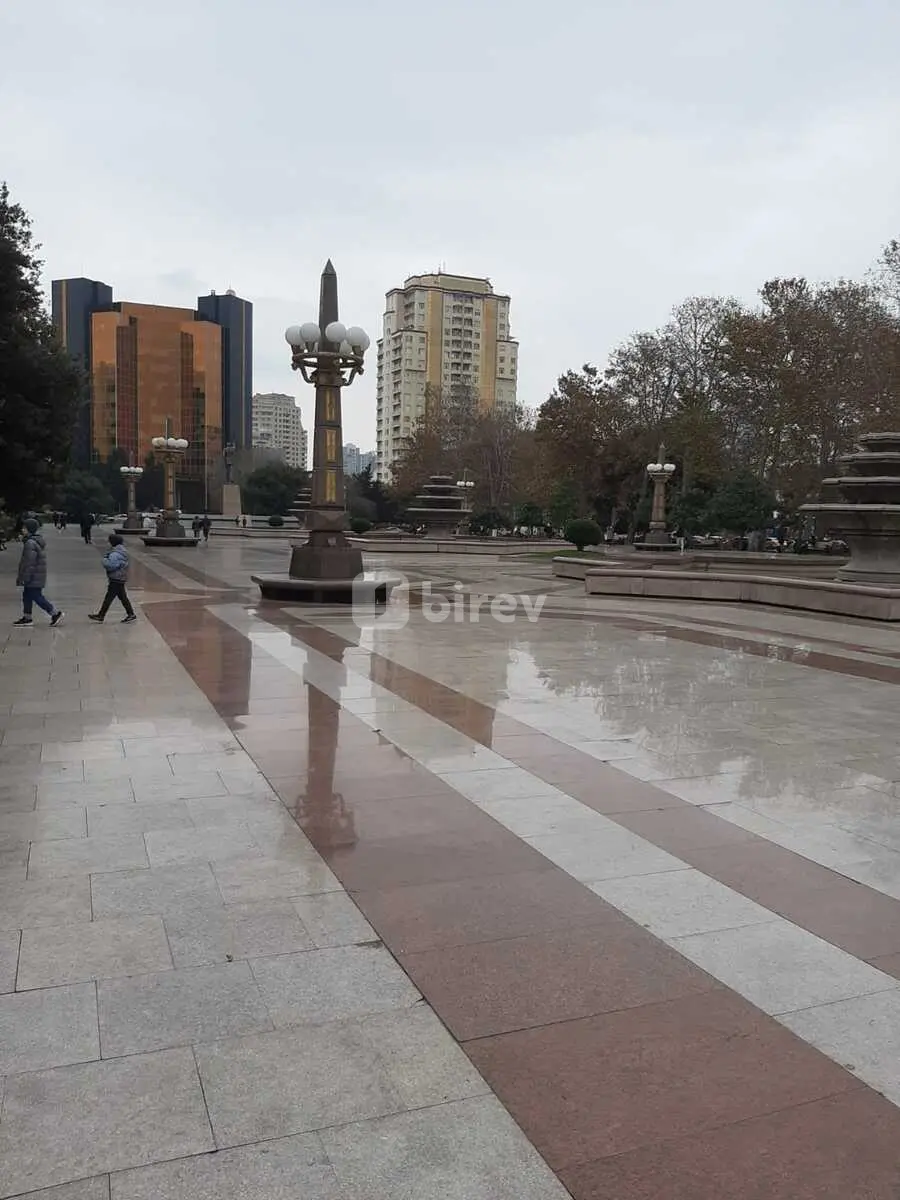 4-комнатная квартира, Насиминский район, Bülbül pr., Баку — фото 22