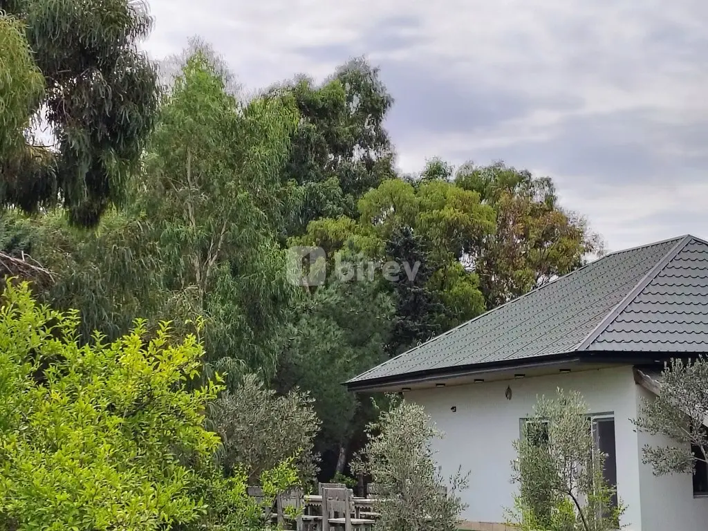 Участок 44 сотки, пос. Нардаран, Mirvari Dilbazi küçəsi 1134, Сабунчинский район — фото 16