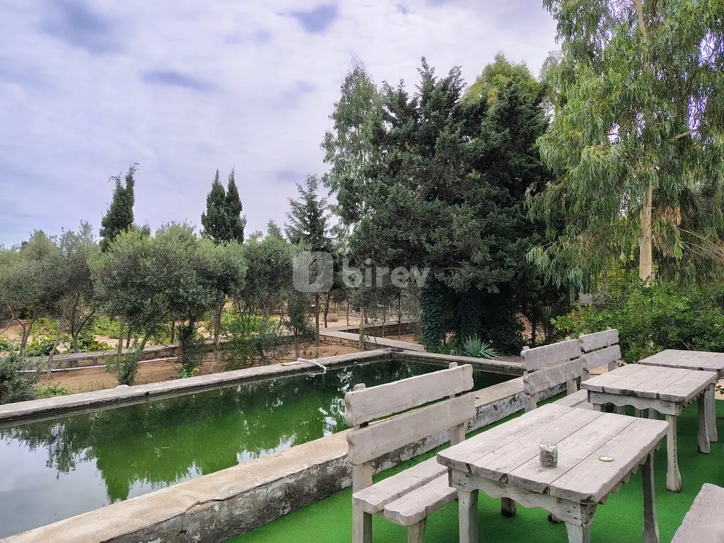 Участок 44 сотки, пос. Нардаран, Mirvari Dilbazi küçəsi 1134, Сабунчинский район — фото 22