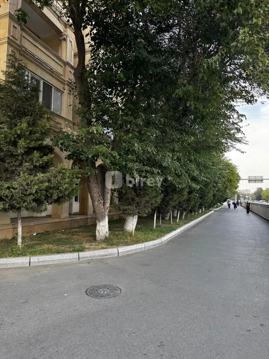 2-комнатная квартира, Наримановский район, Ataturk pr 1, Баку — фото 9