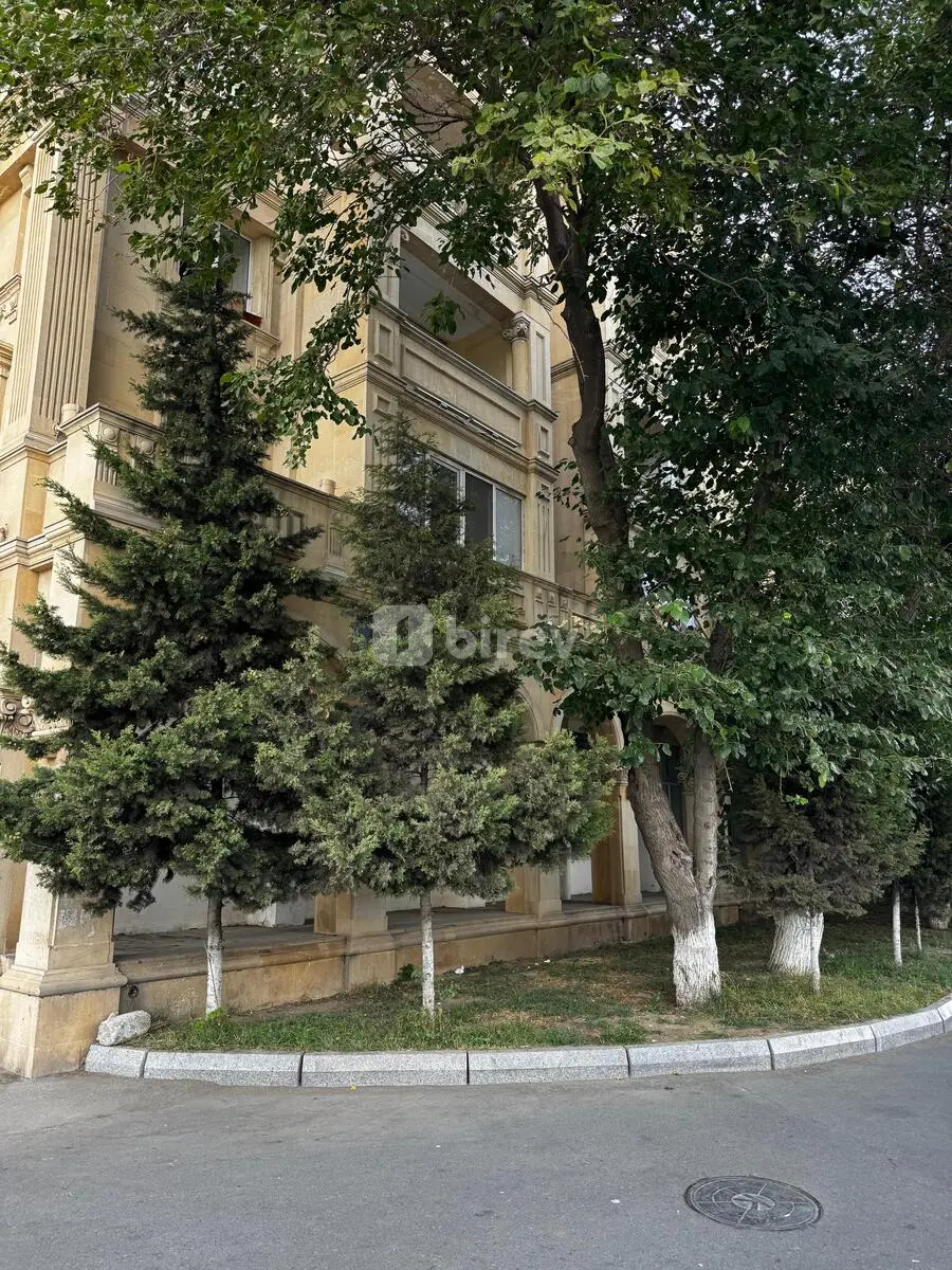 2-комнатная квартира, Наримановский район, Ataturk pr 1, Баку — фото 10