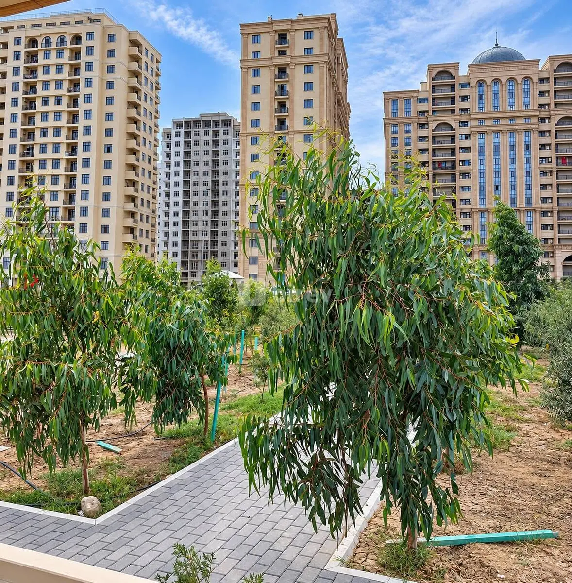 2-комнатная квартира, пос. Баилово, Bayıl Qəsəbəsi, Сабаильский район — фото 12