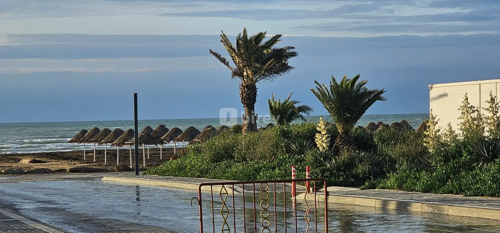 1-комнатная квартира, пос. Нардаран, Sea Breeze Resort, Сабунчинский район — фото 19