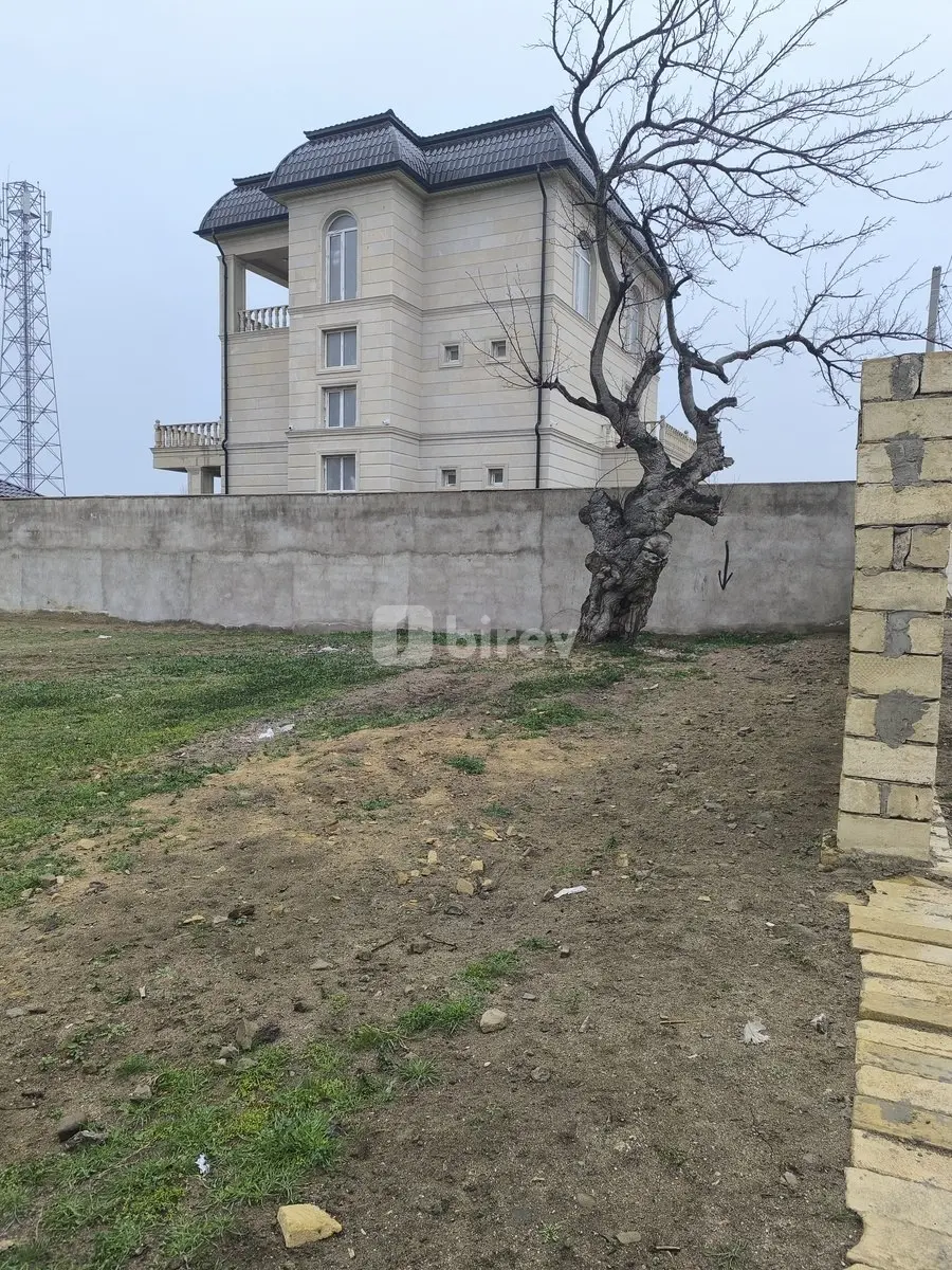 Участок 5,8 сотки, пос. Новханы, Novxanı qəsəbəsi, Абшеронский район — фото 1