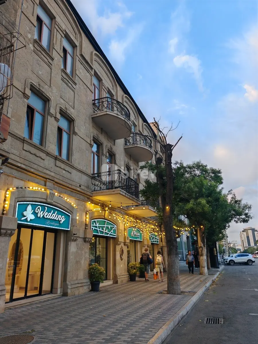 3-комнатная квартира, Наримановский район, Şah İsmayıl Xətai prospekti, Баку — фото 12