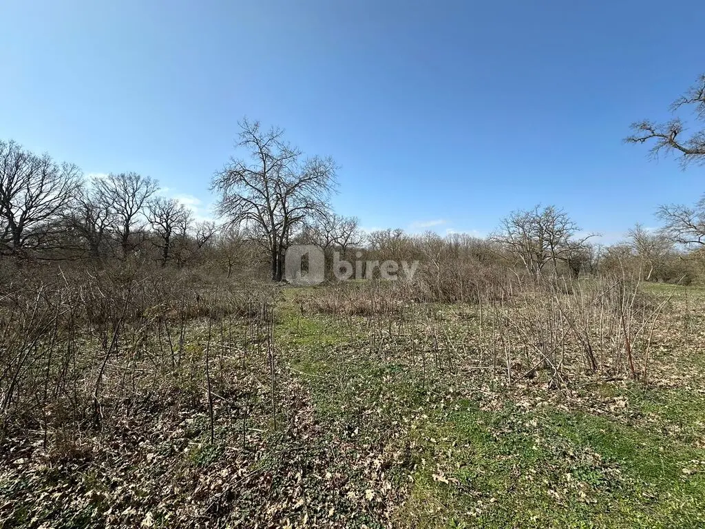 Участок 350 соток, Набрань, Nabran qəs., Хачмазский район — фото 2