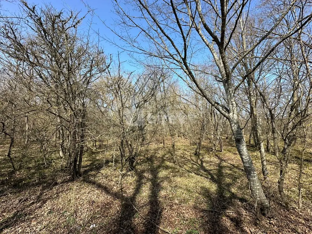 Участок 350 соток, Набрань, Nabran qəs., Хачмазский район — фото 10