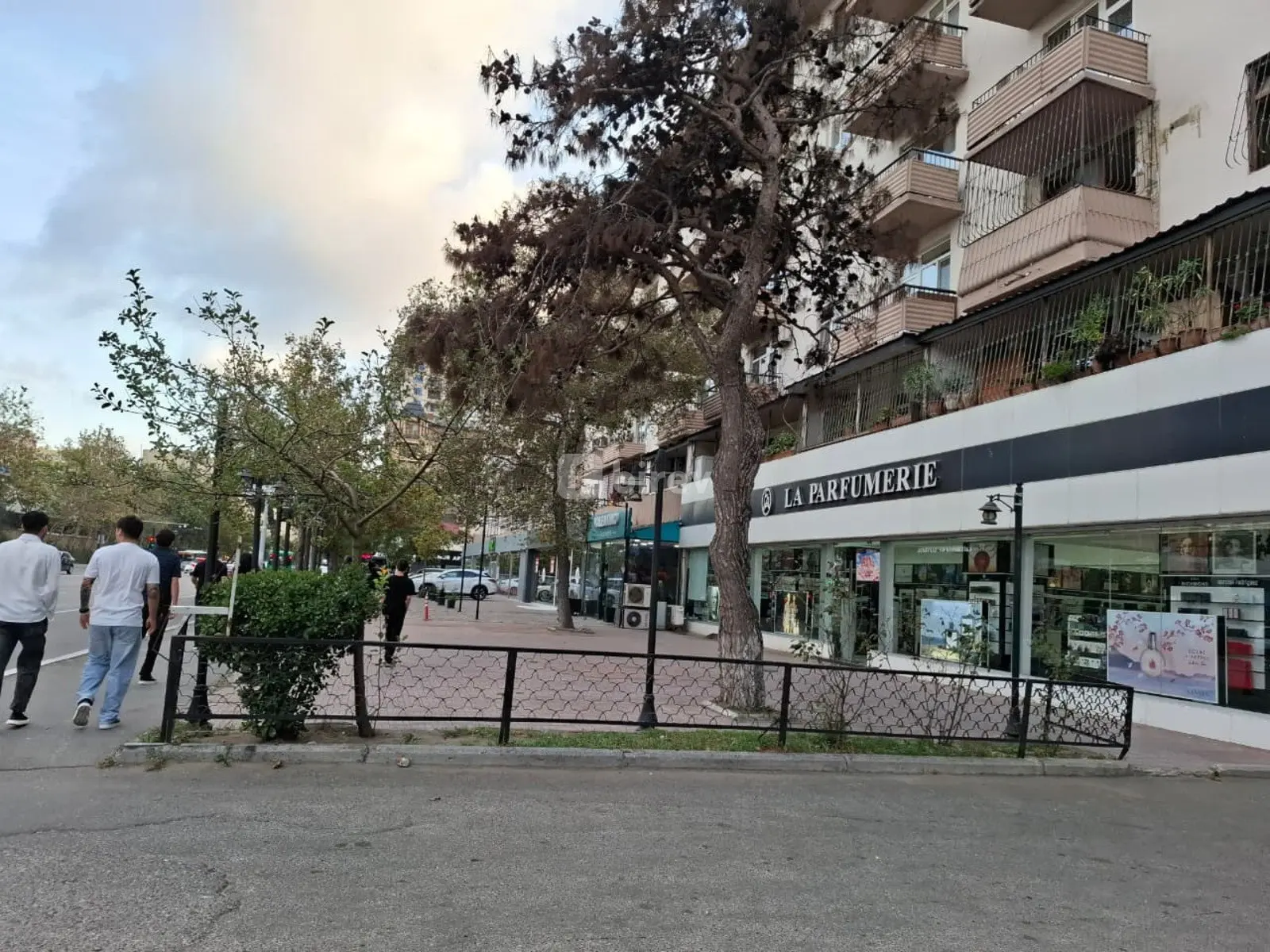 2-комнатная квартира, Насиминский район, Azadlıq pr., Баку — фото 16