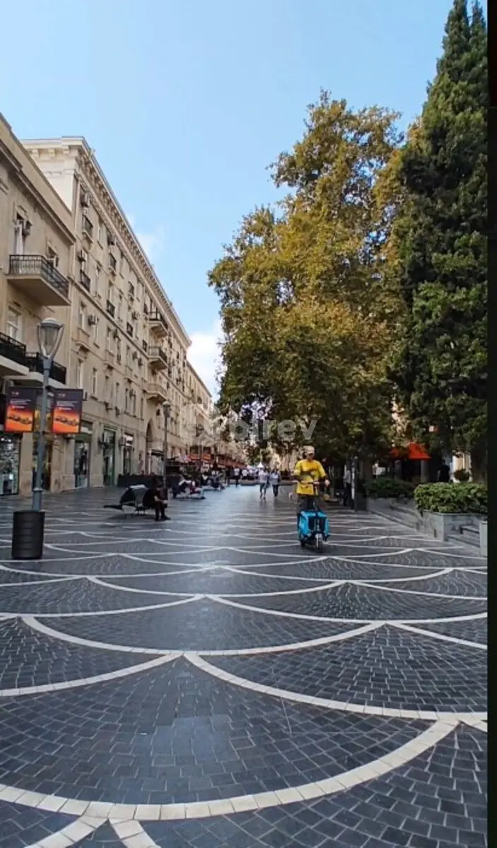 3-комнатная квартира, Сабаильский район, Səməd Vurğun küçəsi, Баку — фото 2