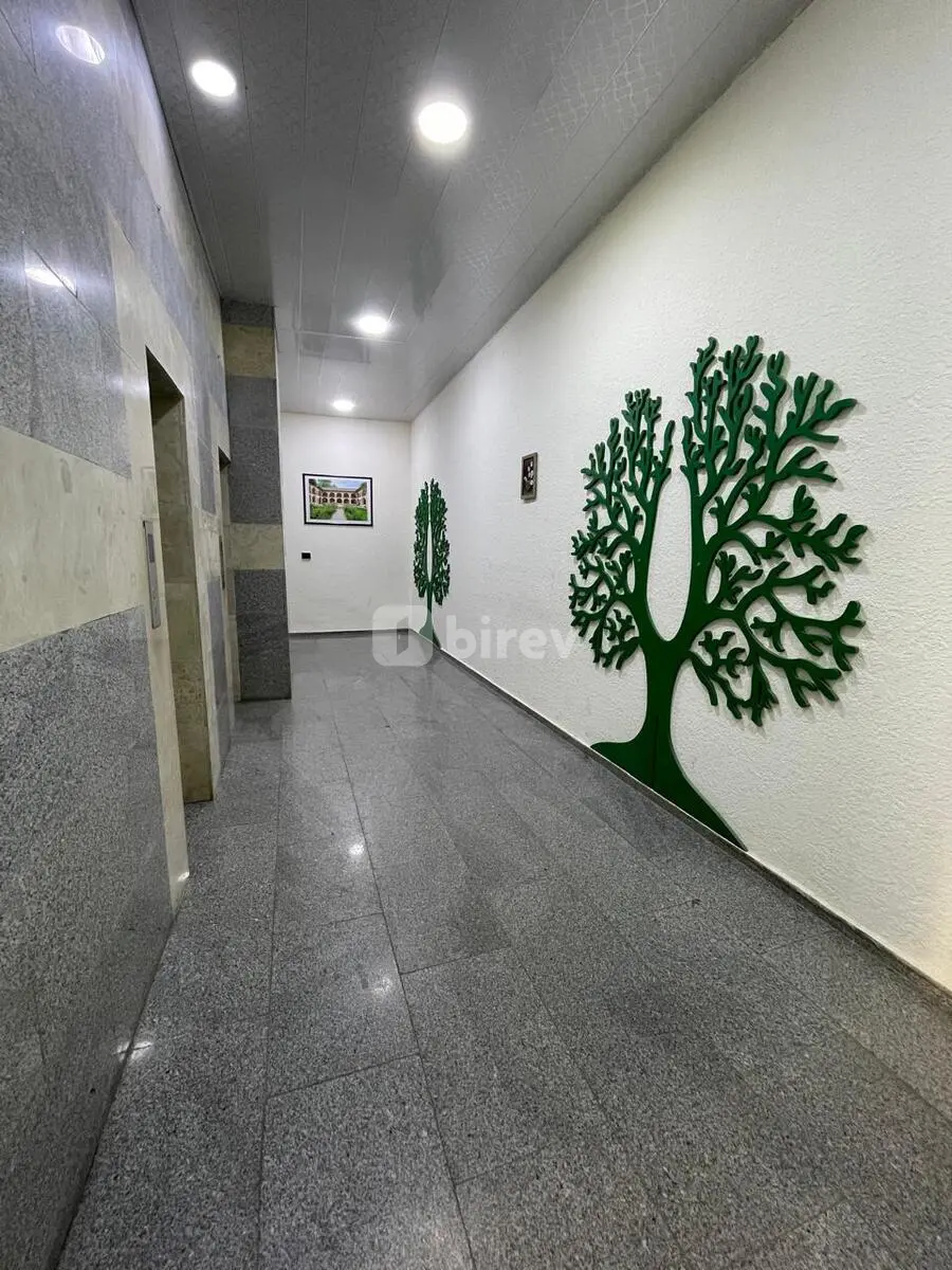 4-комнатная квартира, Насиминский район, Xan Şuşinski küç, Баку — фото 6