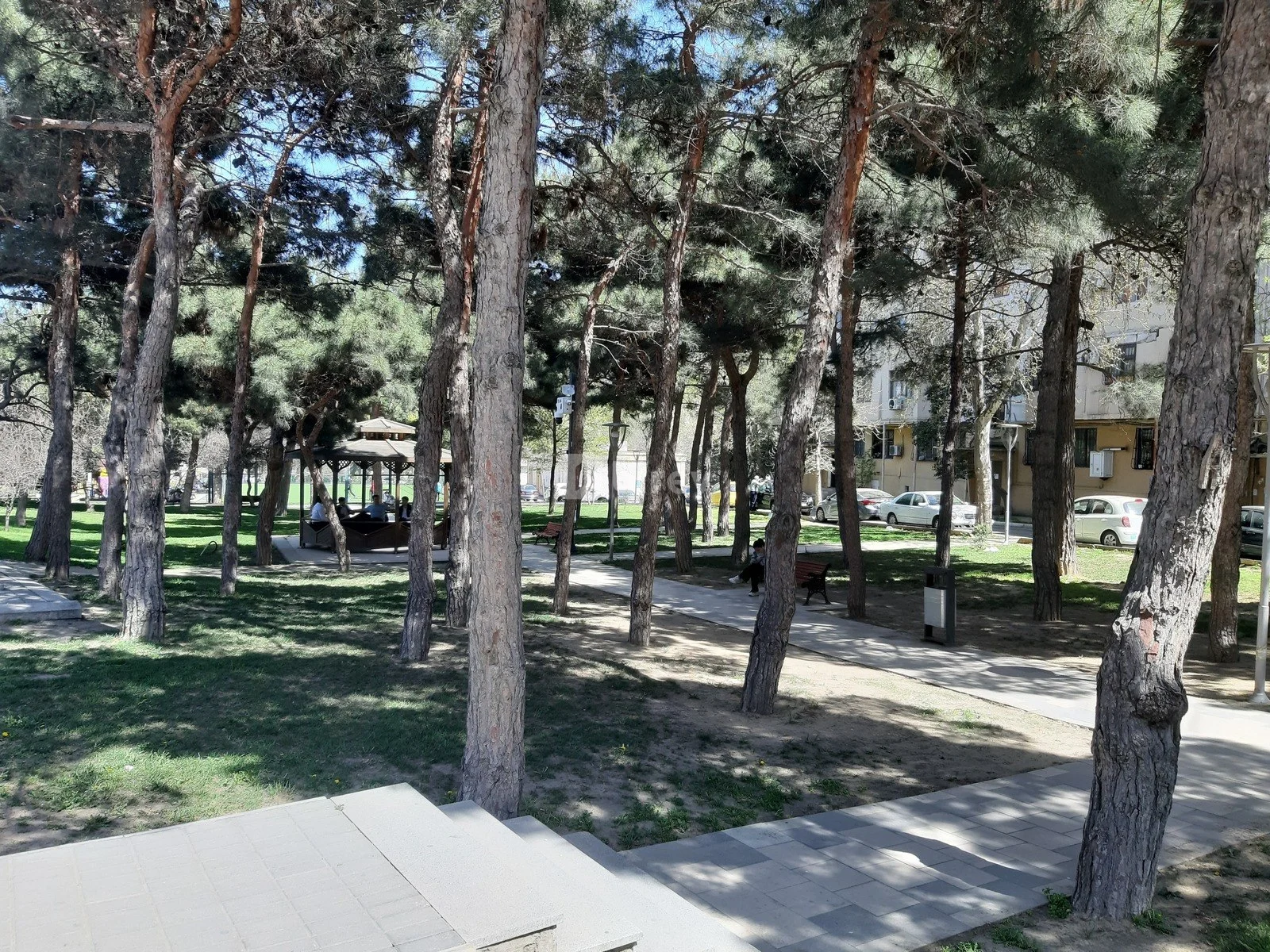 2-комнатная квартира, 4-й микрорайон, Mir Cəlal küçəsi, Насиминский район — фото 26
