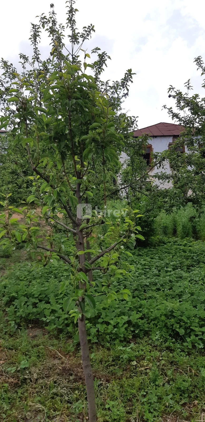 4-комнатный дом, Гусарский район, Qusar,mərkəzipark və şahmat məktəbinin yanı M.Vəliyev 110 — фото 1
