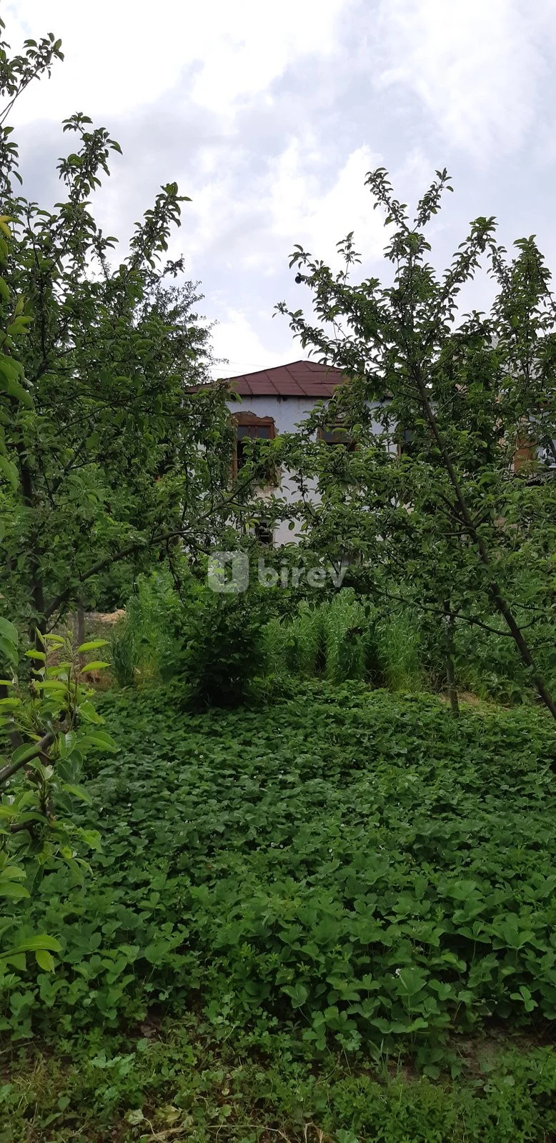 4-комнатный дом, Гусарский район, Qusar,mərkəzipark və şahmat məktəbinin yanı M.Vəliyev 110 — фото 3