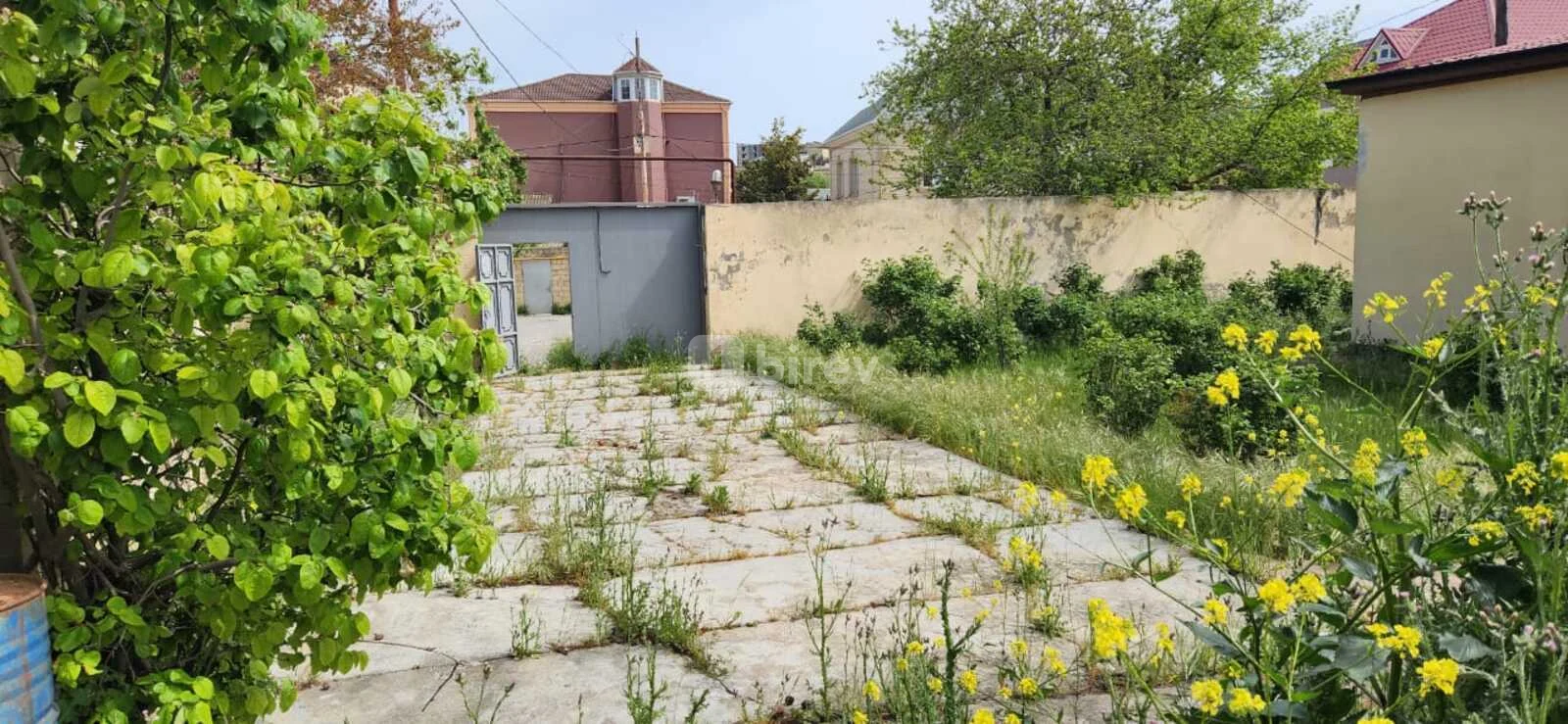 Участок 9,5 сотки, пос. Бадамдар, Badamdar qəs., Сабаильский район — фото 2