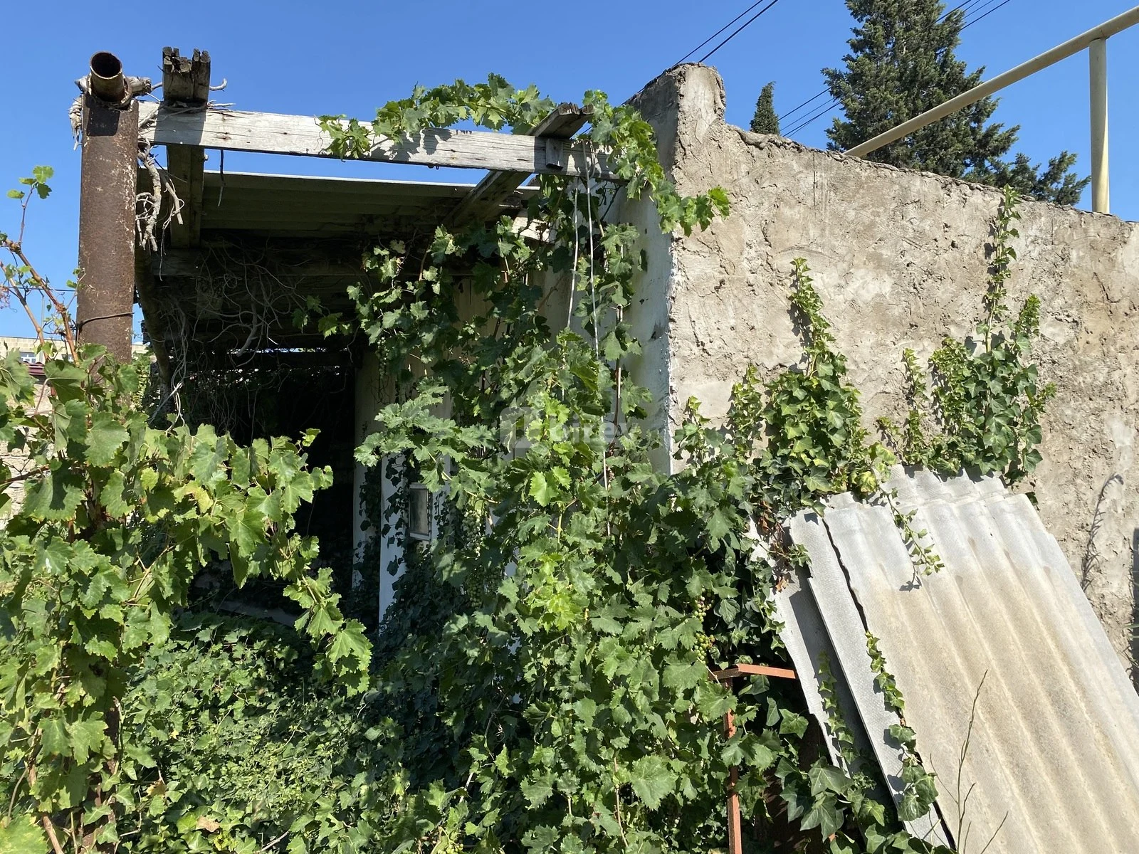 Участок 6 соток, пос. Мардакан, Baba Əliyev küç., Хазарский район — фото 3