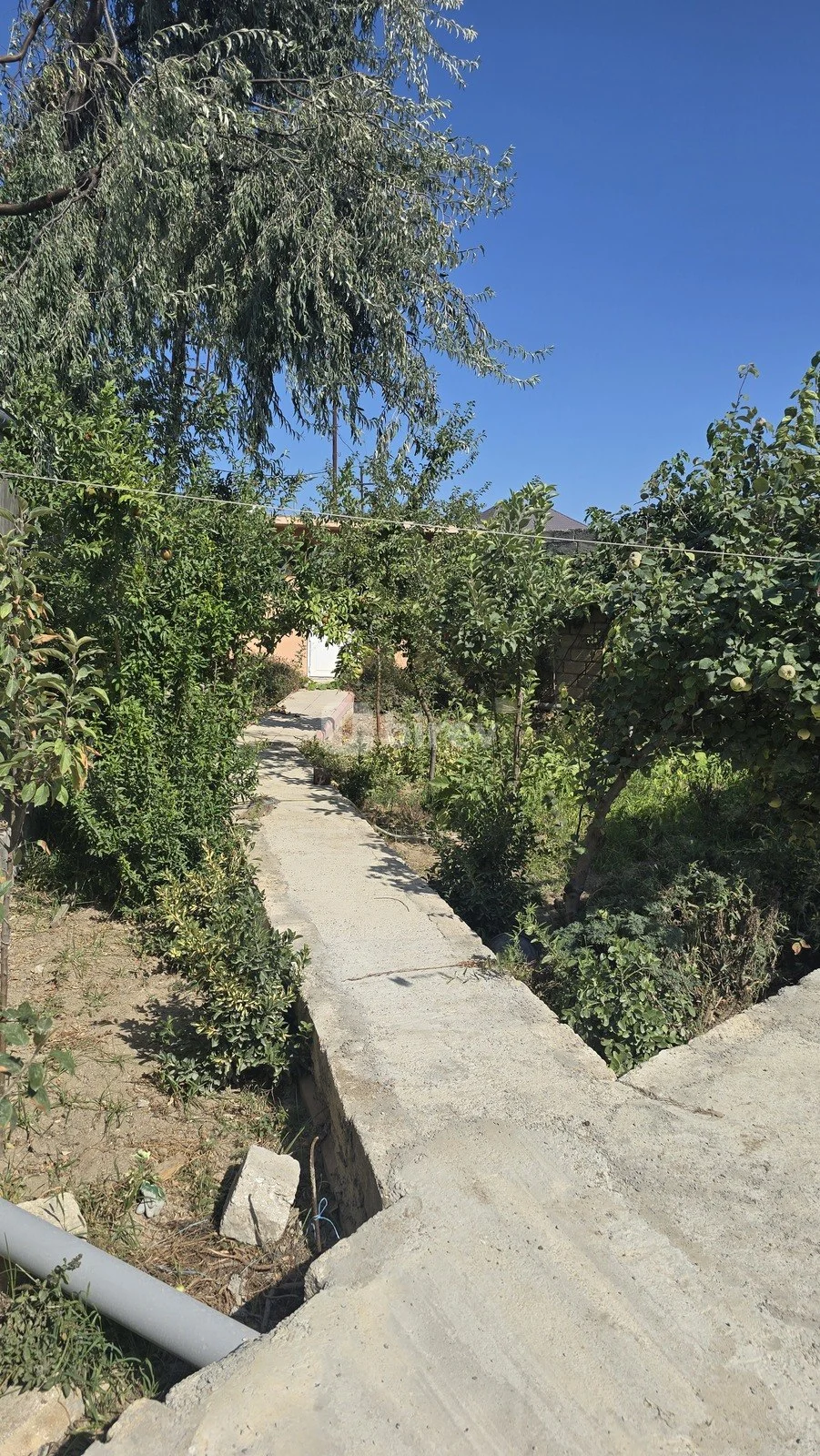 3-комнатный дом, пос. Бильгя, Bilgəh qəs.6-ci dalan, Сабунчинский район — фото 3