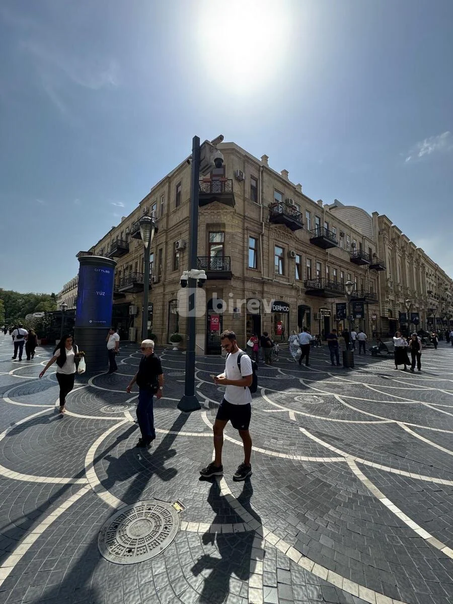 3-комнатная квартира, Сабаильский район, Nizami küçəsi 50, Баку — фото 27
