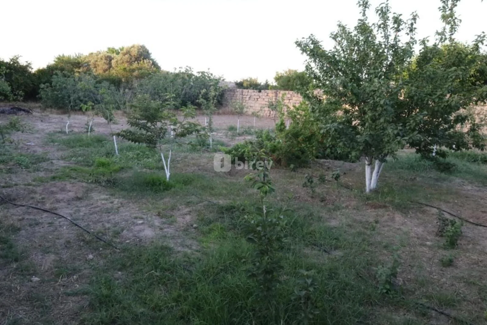Участок 2 сотки, пос. Маштага, M.Ə Sabir küç ev 74, Сабунчинский район — фото 2