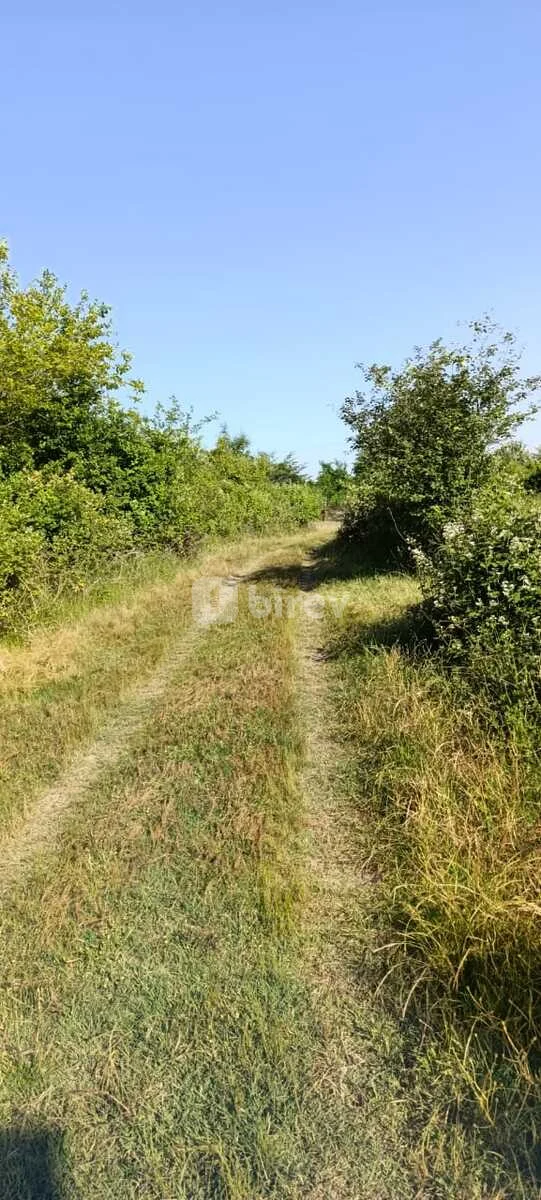 Участок 30 соток, Нидж, Nic qəsəbəsi, Габалинский район — фото 9