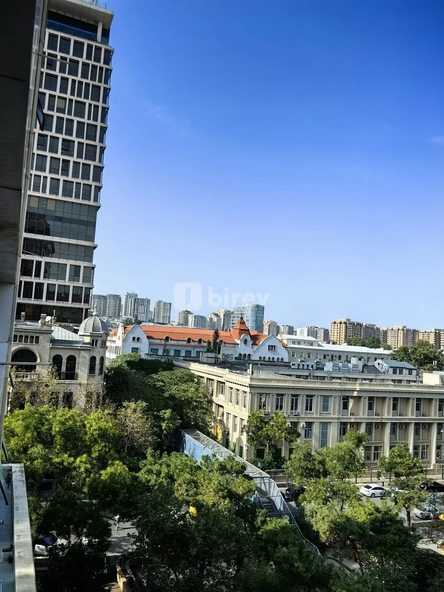 3-комнатная квартира, Насиминский район, Fikrət Əmirov küçəsi, Баку — фото 20