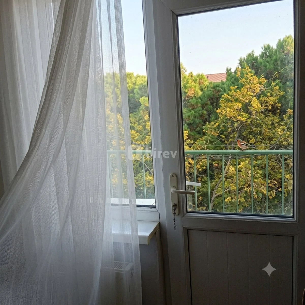 2-комнатная квартира, Сумгаит, 8 mkr bina 18/5 m'nzil 20 — фото 6