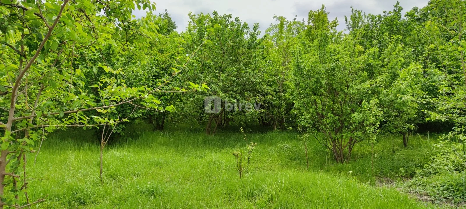 Участок 19 соток, Агдашский район, Ağdaş rayonu., Агдашский район — фото 1