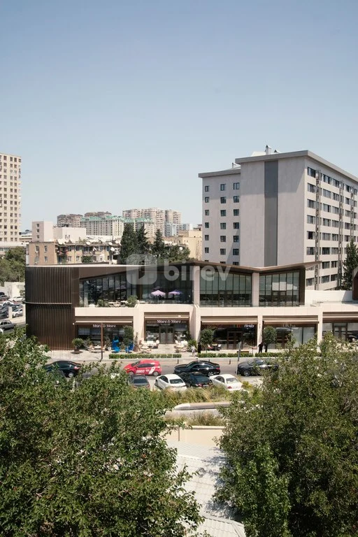 3-комнатная квартира, Насиминский район, 118 Nizami Street, Баку — фото 5