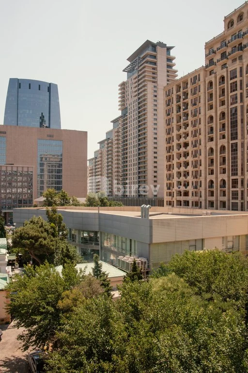 3-комнатная квартира, Насиминский район, 118 Nizami Street, Баку — фото 6