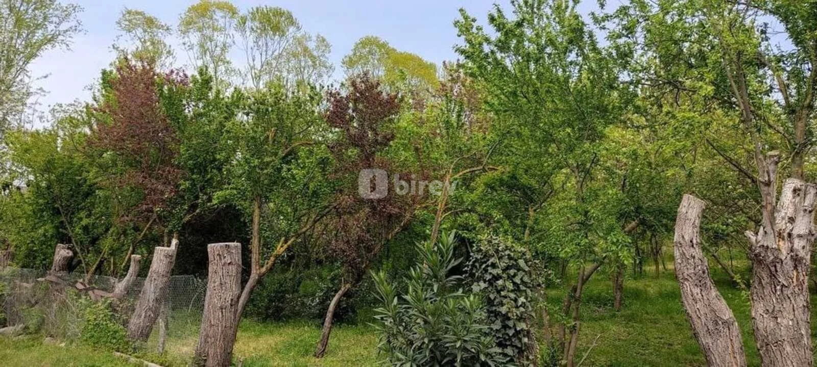 3-комнатный дом, Ленкорань, Lənkəran şəhəri, Ленкорань — фото 21