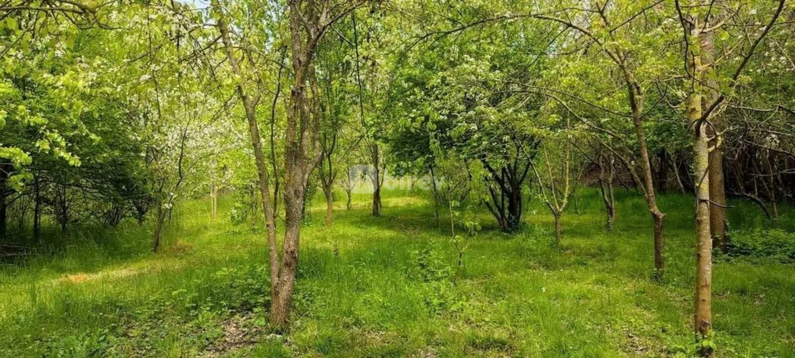 3-комнатный дом, Ленкорань, Lənkəran şəhəri, Ленкорань — фото 22