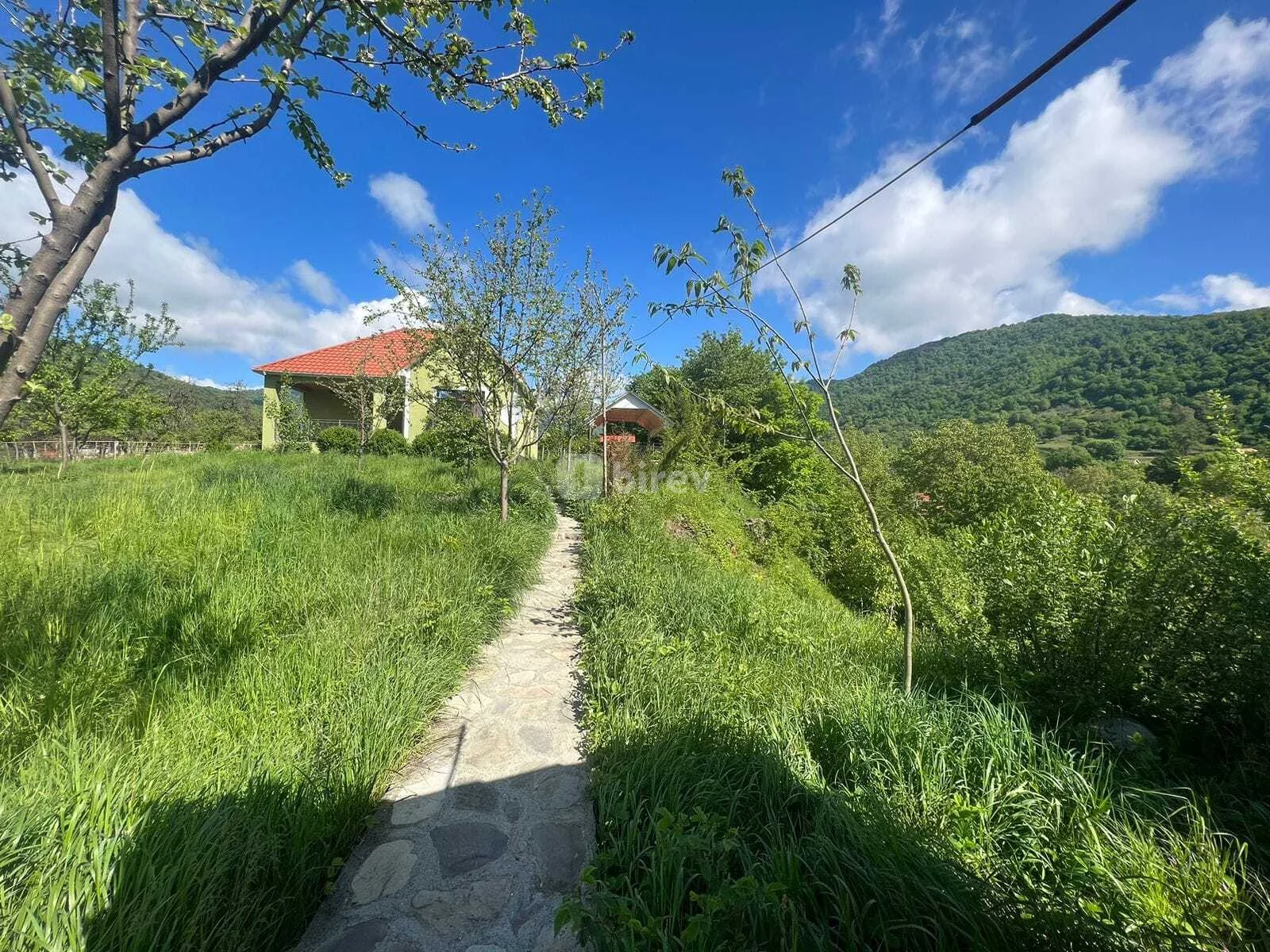 3-комнатный дом, Исмаиллинский район, Qalacıq kəndi — фото 2