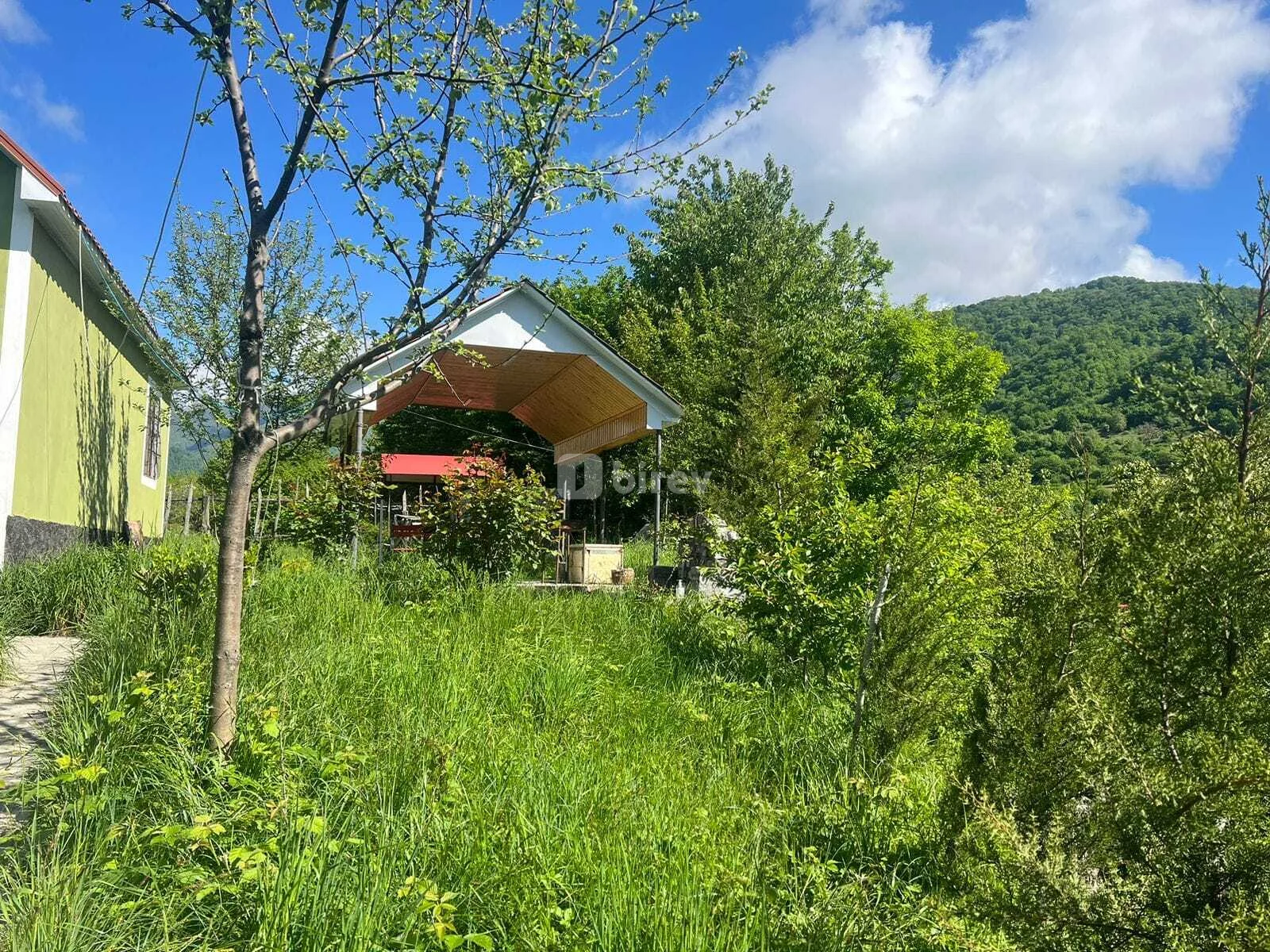3-комнатный дом, Исмаиллинский район, Qalacıq kəndi — фото 3