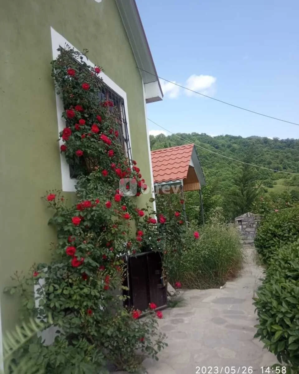 3-комнатный дом, Исмаиллинский район, Qalacıq kəndi — фото 4