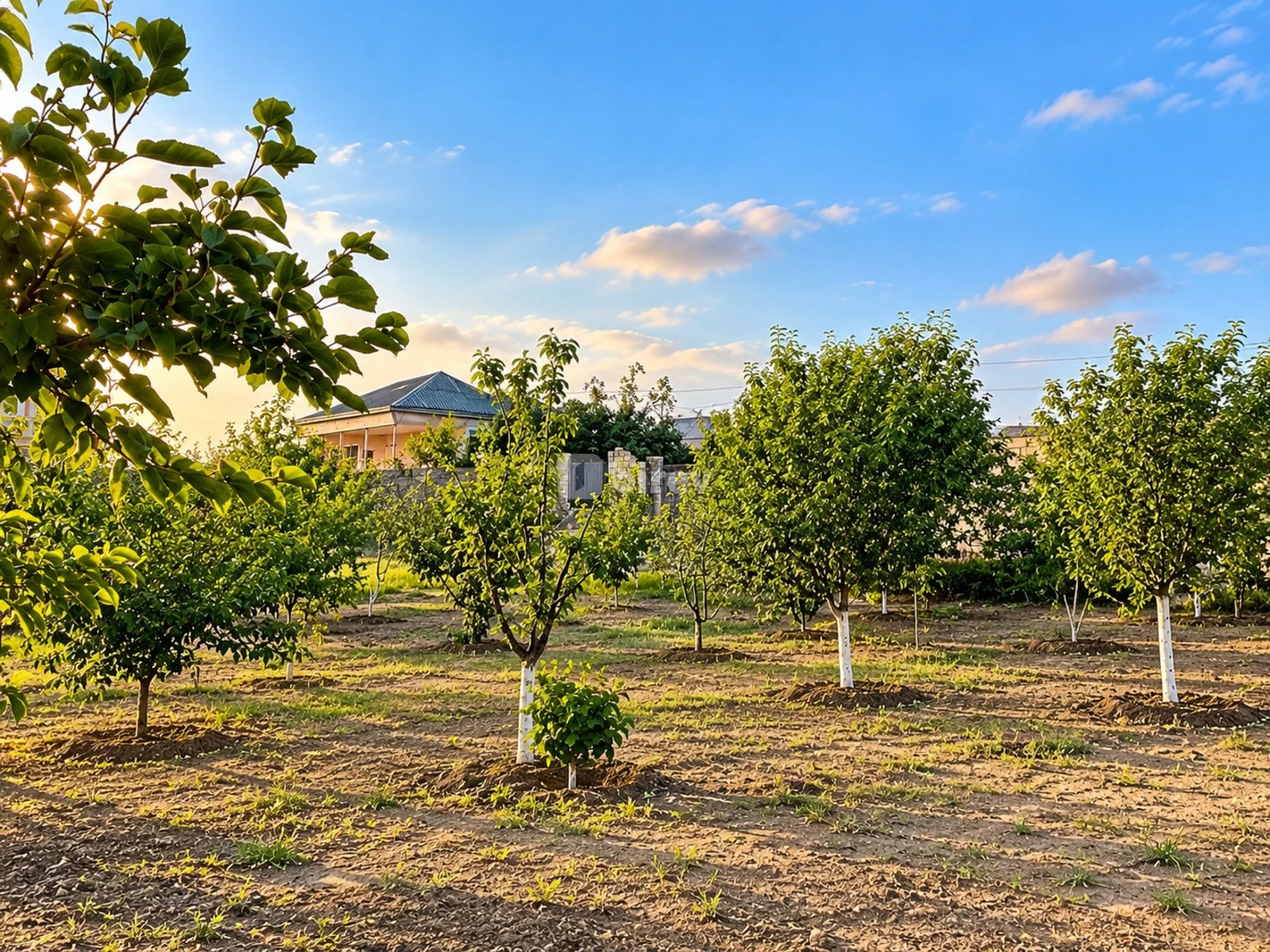 7-комнатный дом, пос. Сарай, Saray qəsəbəsi, Абшеронский район — фото 6