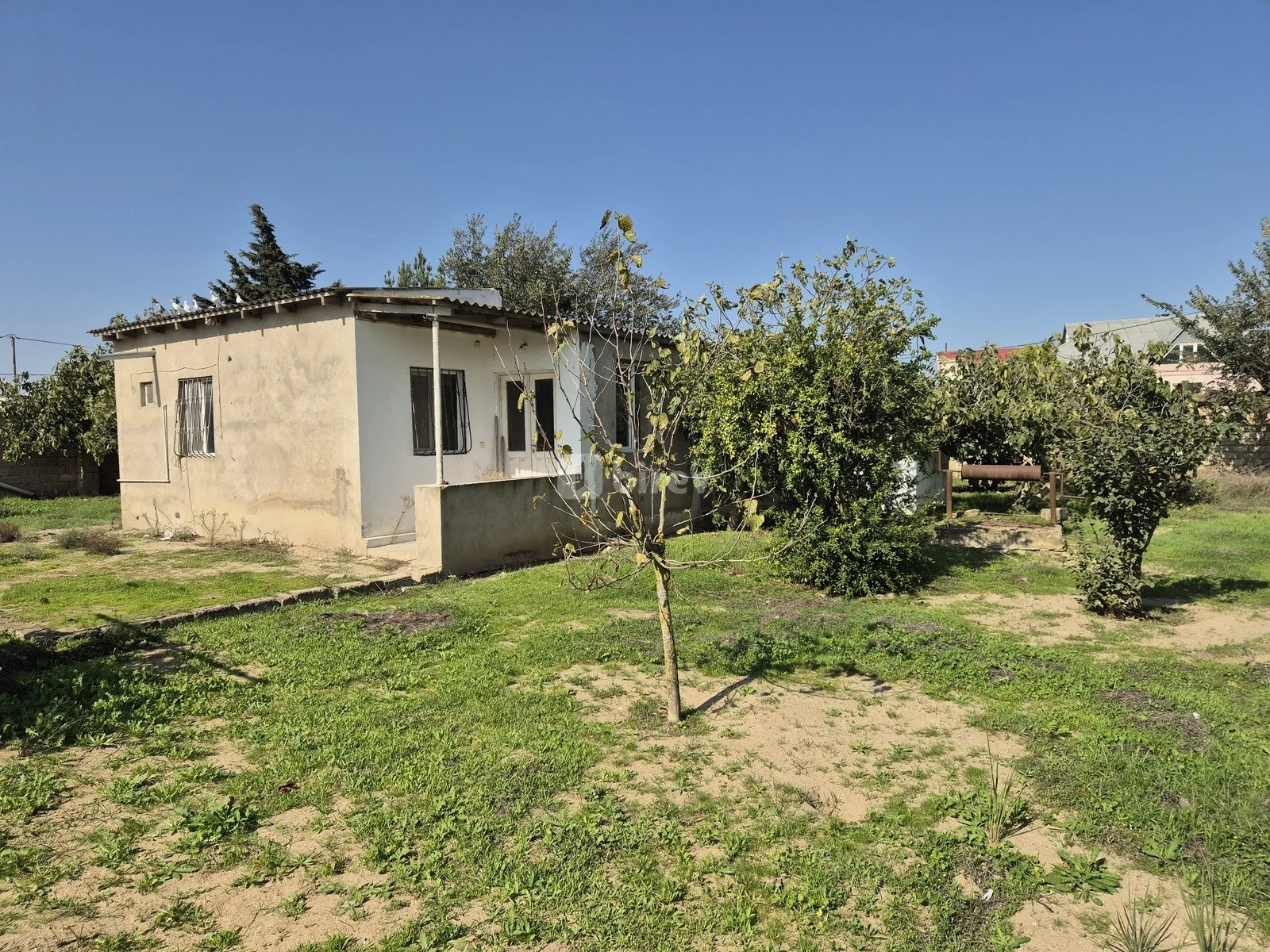 Участок 11,7 сотки, пос. Гала, Qala qəsəbəsi, Хазарский район — фото 2