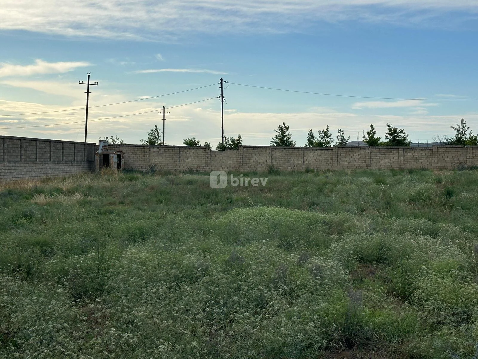 Участок 250 соток, пос. Новханы, Mehdi Hüseynzadə küçəsi, Абшеронский район — фото 12