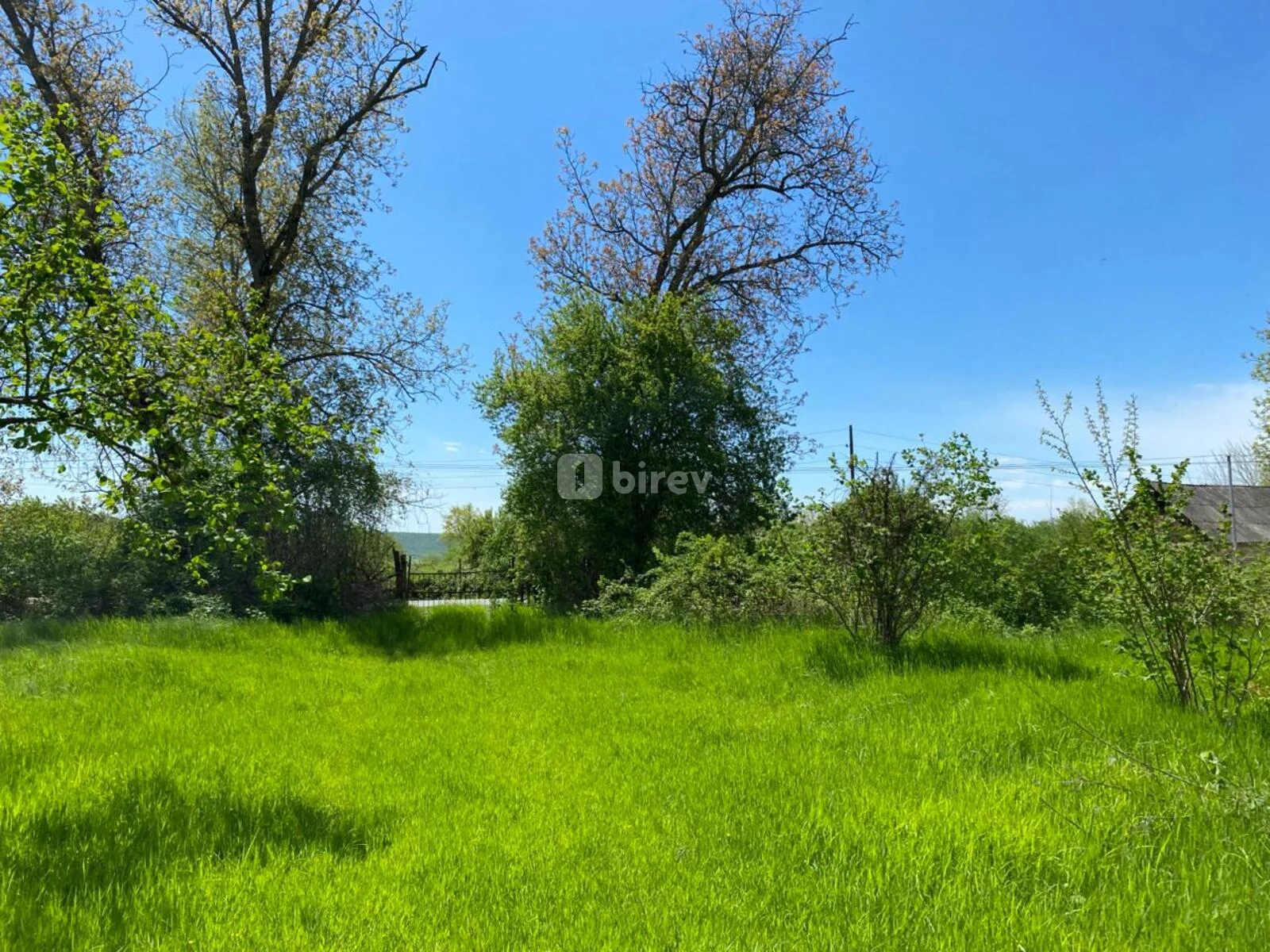 Участок 60 соток, Габалинский район, Qəbələ r. (Böyük Pirəli) — фото 1