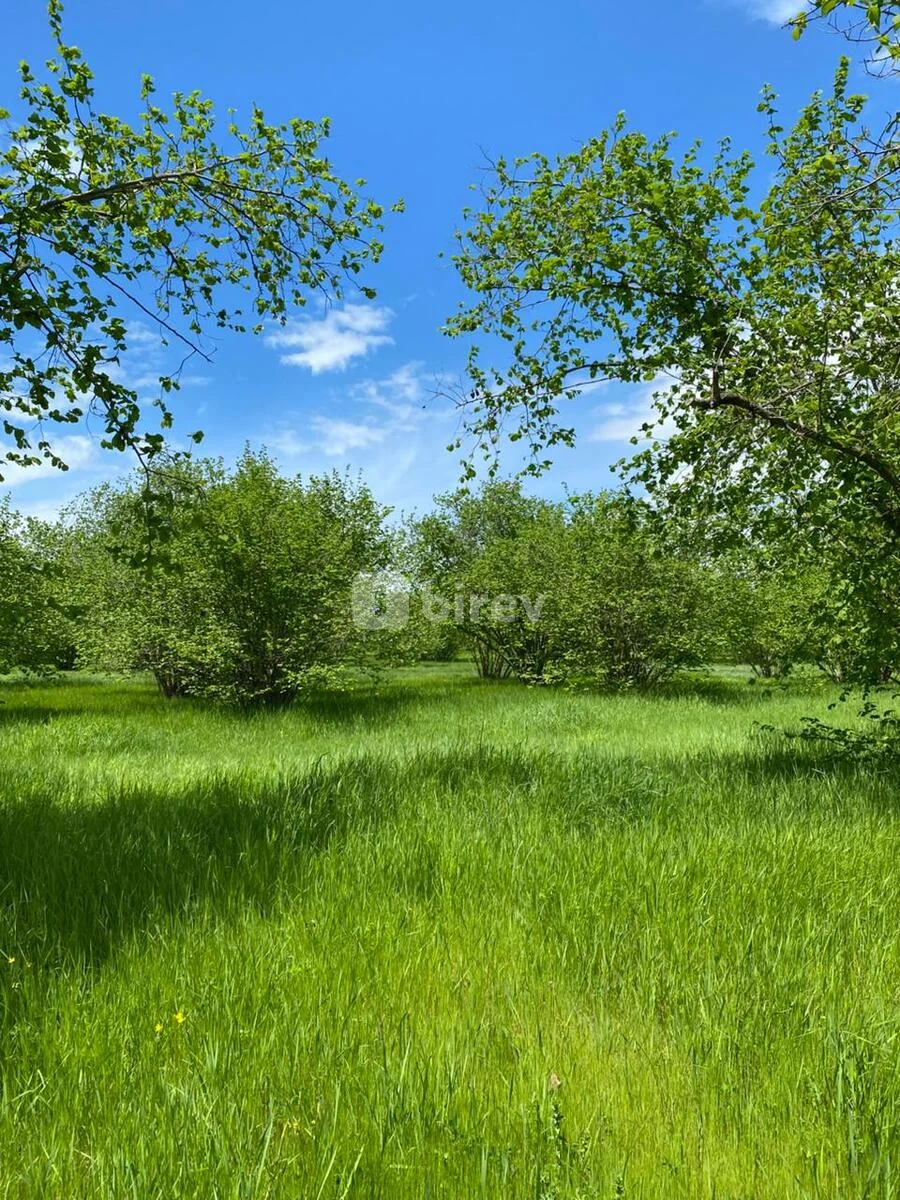 Участок 60 соток, Габалинский район, Qəbələ r. (Böyük Pirəli) — фото 3