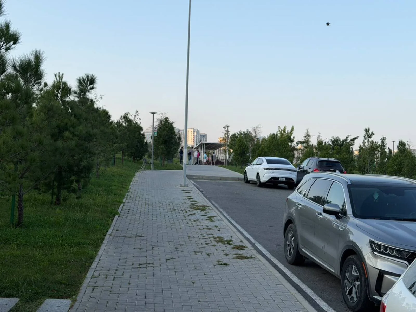 Объект, пос. Ясамал, Rastropoviçlər küçəsi, Ясамальский район — фото 12