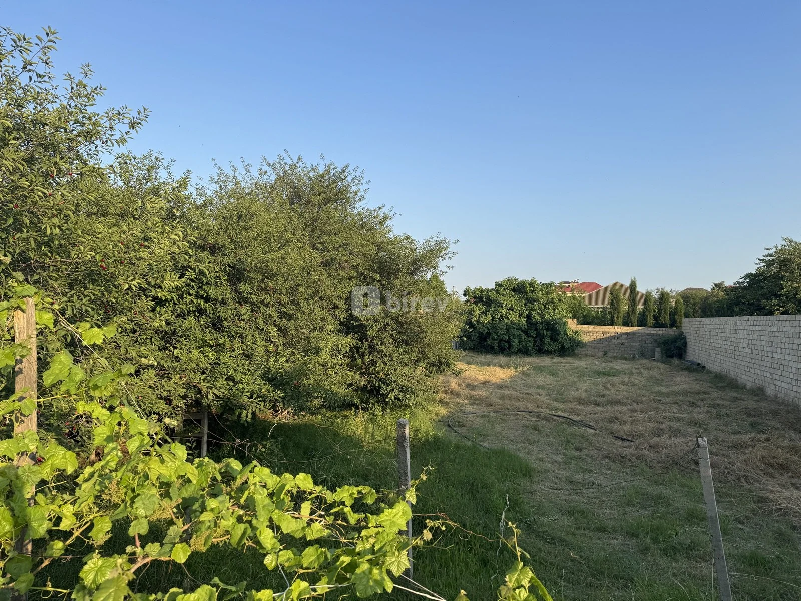 Участок 10 соток, пос. Новханы, Novxanı qəsəbəsi, Абшеронский район — фото 3