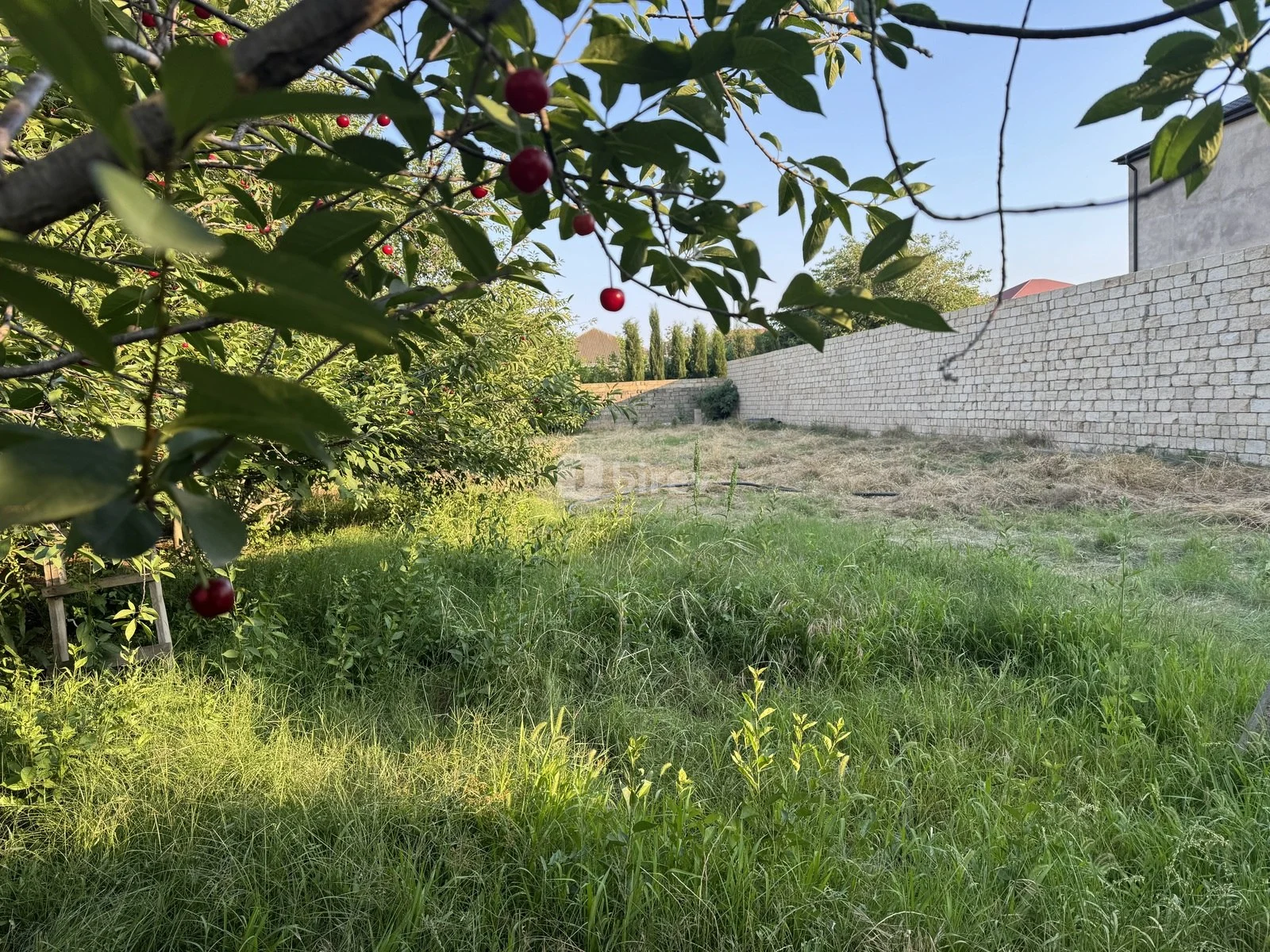 Участок 10 соток, пос. Новханы, Novxanı qəsəbəsi, Абшеронский район — фото 8
