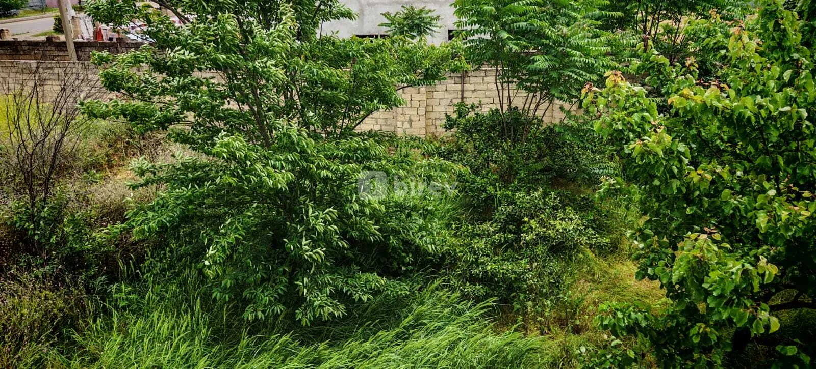 5-комнатный дом, Масаллинский район, Bakı pr,. ev 30., Масаллинский район — фото 23