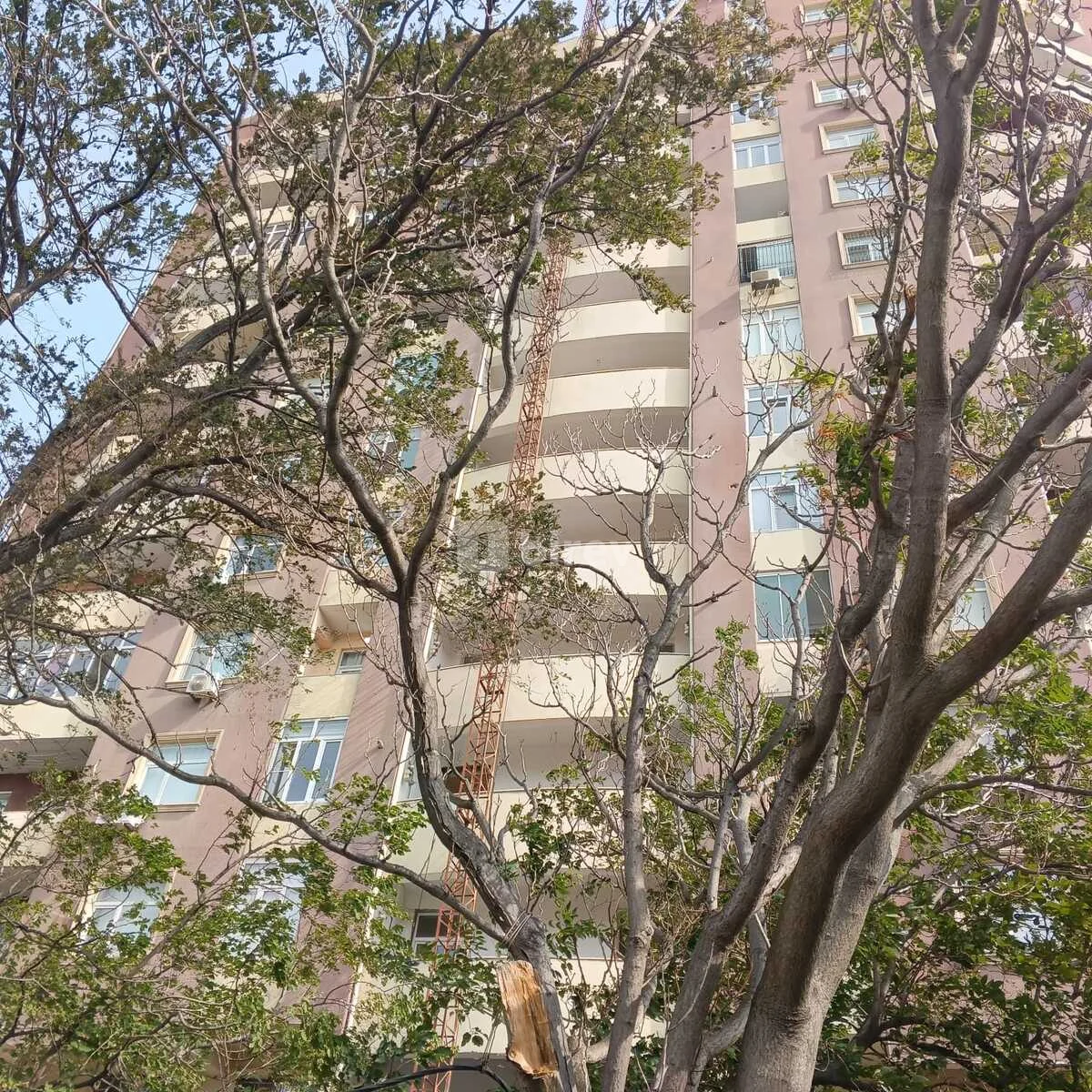 2-комнатная квартира, 3-й микрорайон, Alı Mustafayev 55, Насиминский район — фото 26