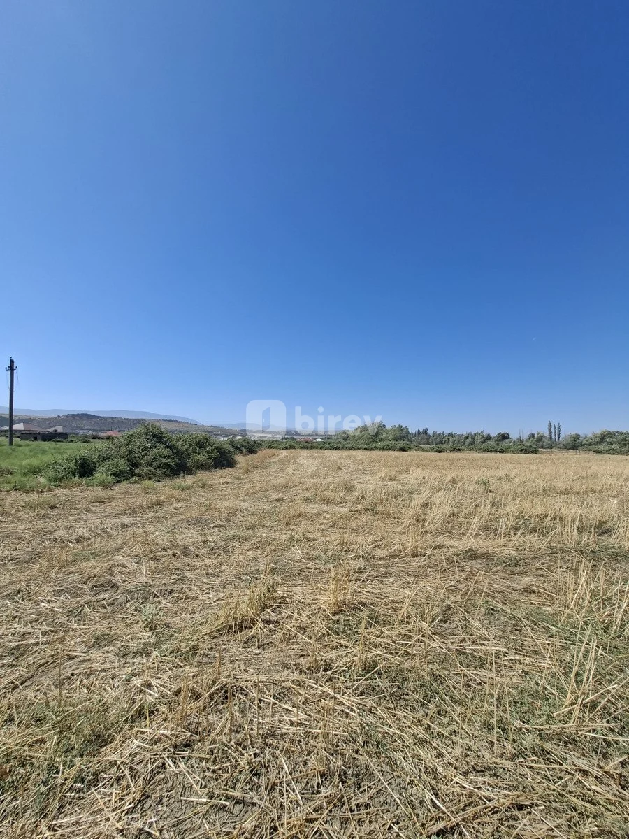 Участок 160 соток, Шабранский район, Şabran şəhəri, Шабранский район — фото 5